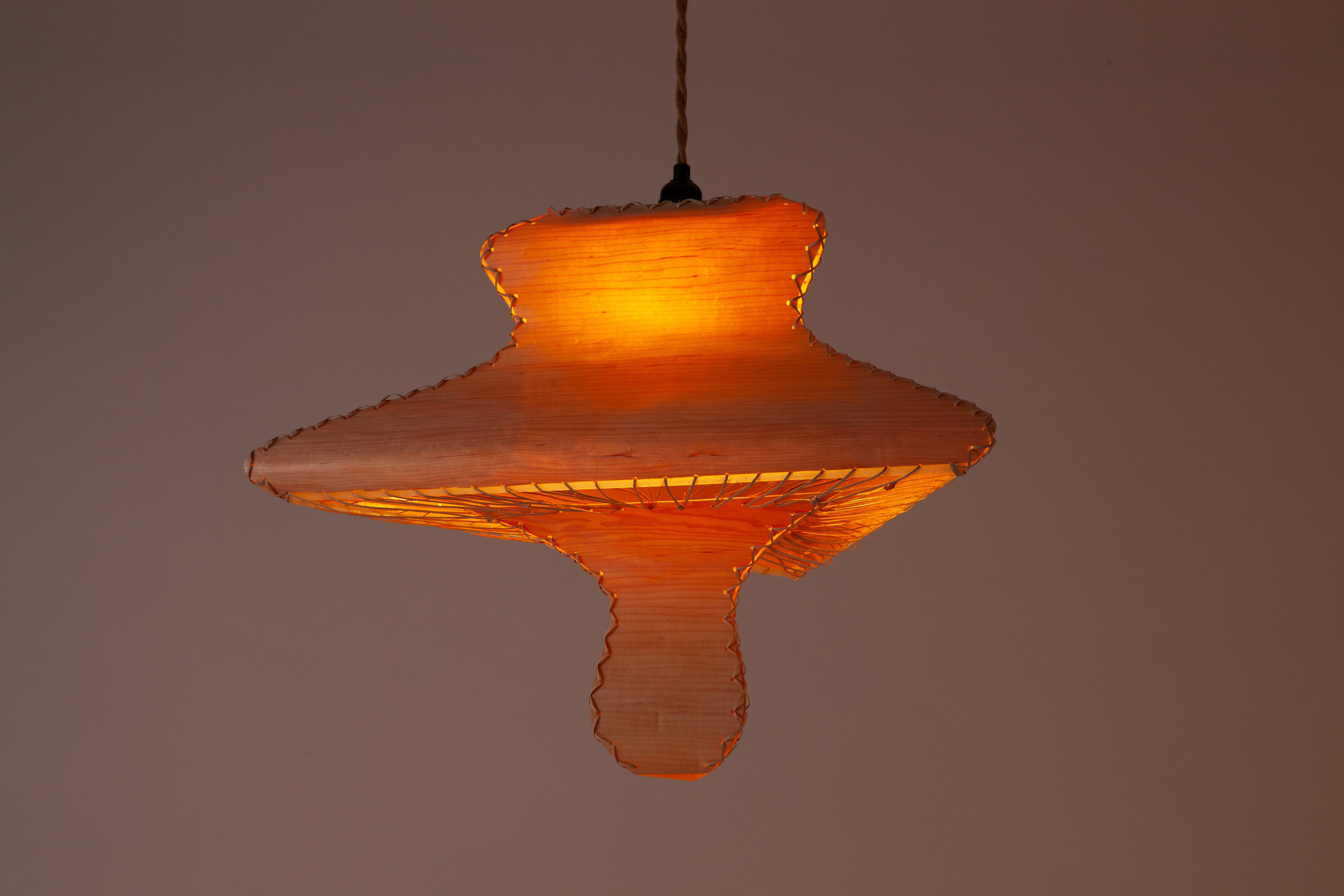 An illuminated hanging lamp in the shape of deforestation trends and 
                    afforestation trends through two adjacent shades, made from wood veneer, gently glowing.